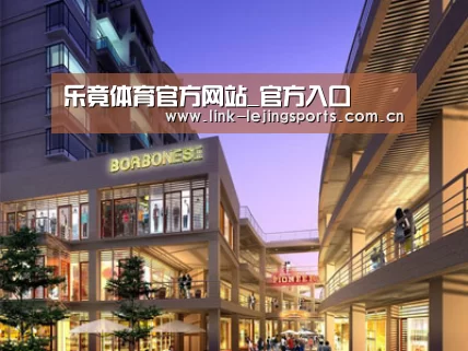 展示一(图1)