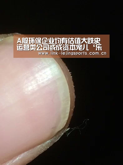 A股环保企业均有估值大跌史 运营类公司或成资本宠儿‘乐竟体育在线’(图3) 乐竟体育官网