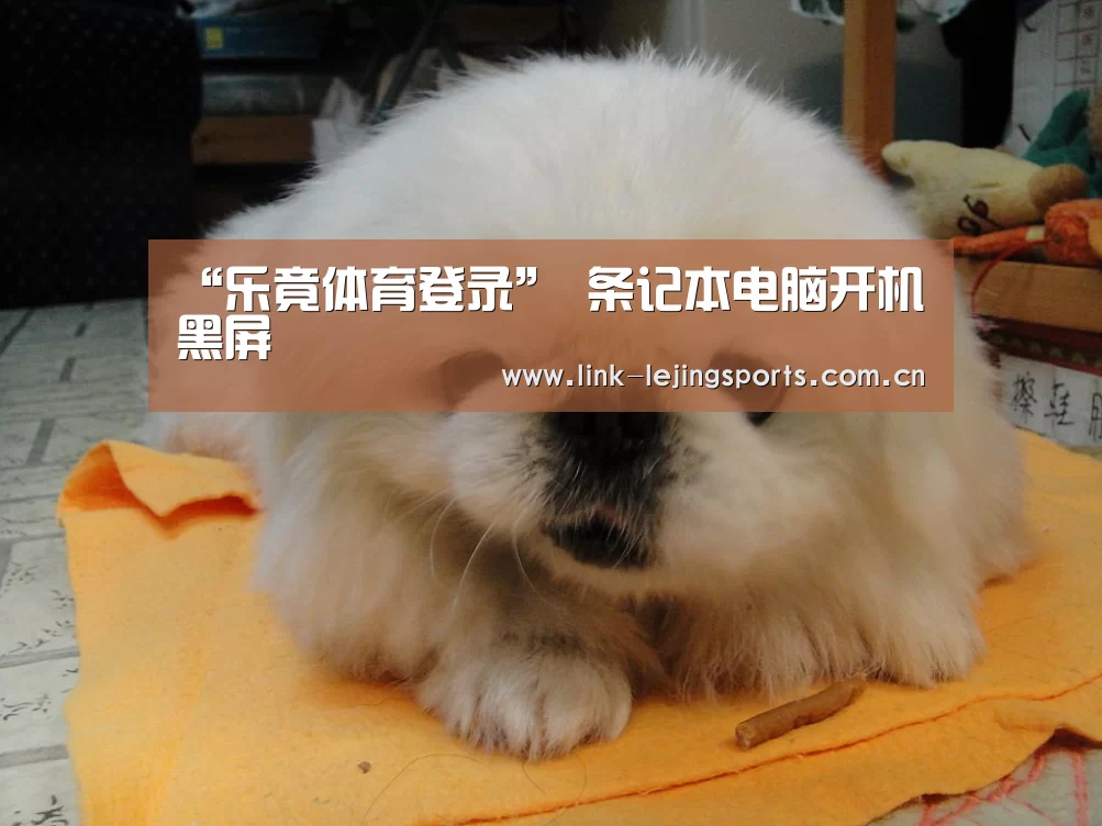 乐竟体育登录