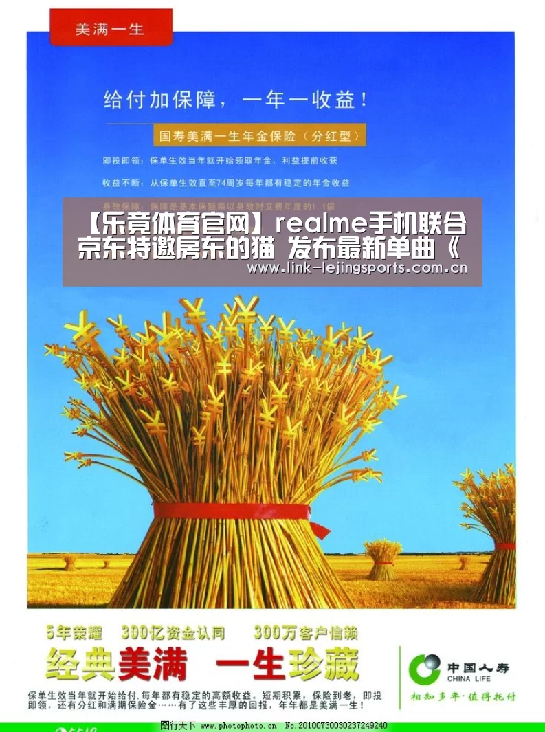 【乐竟体育官网】realme手机联合京东特邀房东的猫 发布最