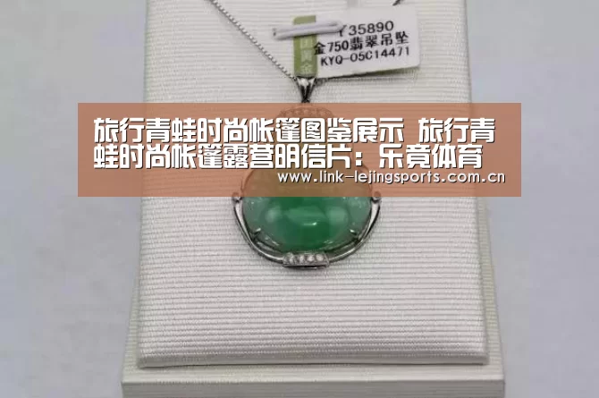 旅行青蛙时尚帐篷图鉴展示 旅行青蛙时尚帐篷露营明信片：乐竟体