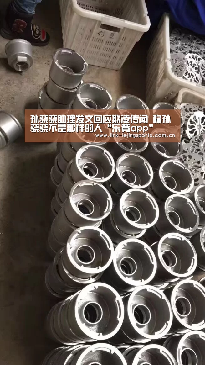 孙骁骁助理发文回应欺凌传闻 称孙骁骁不是那样的人“乐竟app